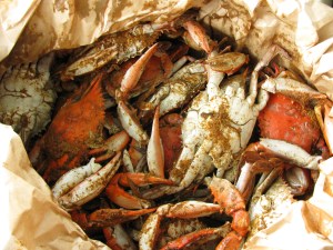 Steamed Crabs