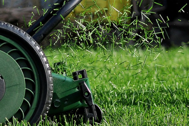 lawn-clippings